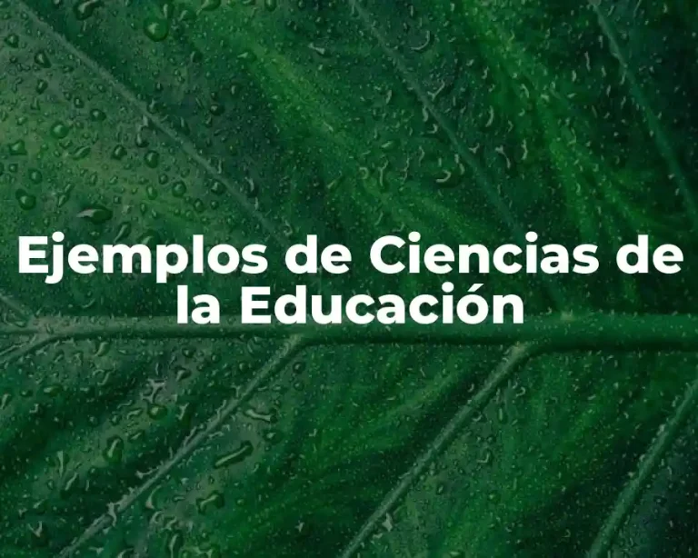 Ejemplos de Ciencias de la Educación