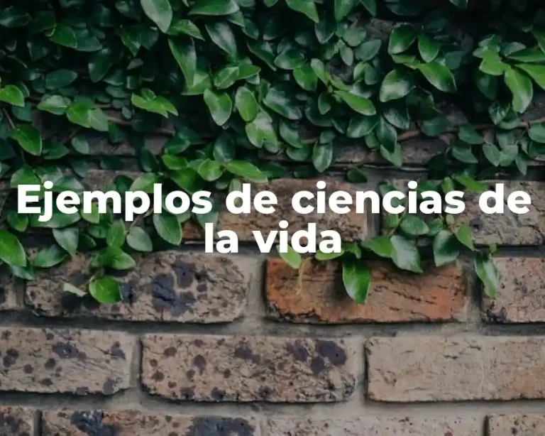 Ejemplos de ciencias de la vida