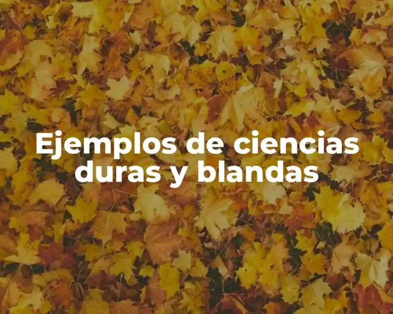 Ejemplos de ciencias duras y blandas
