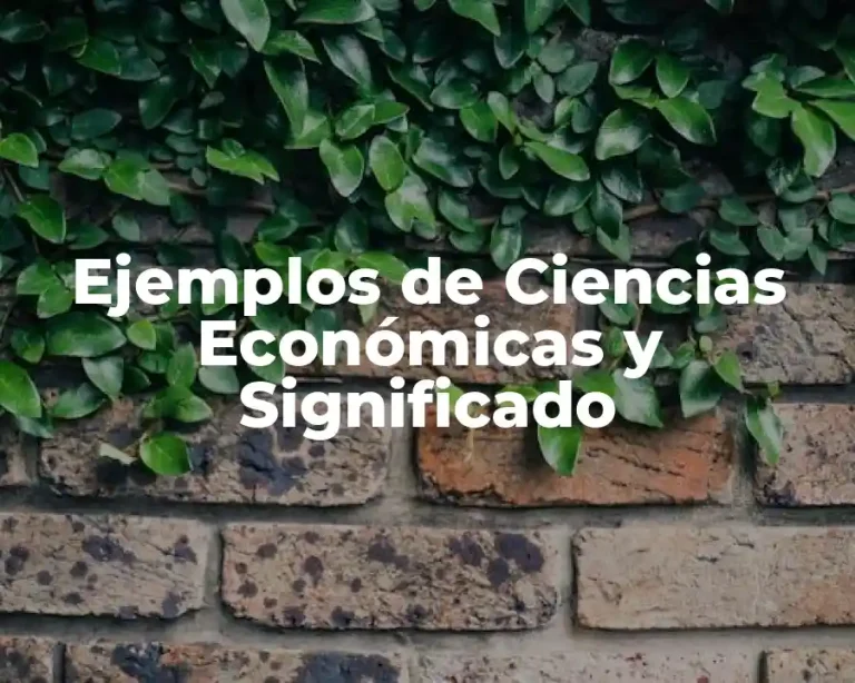 Ejemplos de Ciencias Económicas y Significado