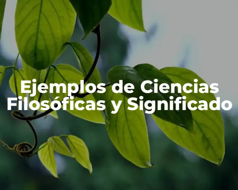 Ejemplos de Ciencias Filosóficas y Significado