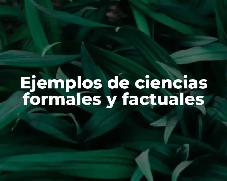 Ejemplos de ciencias formales y factuales