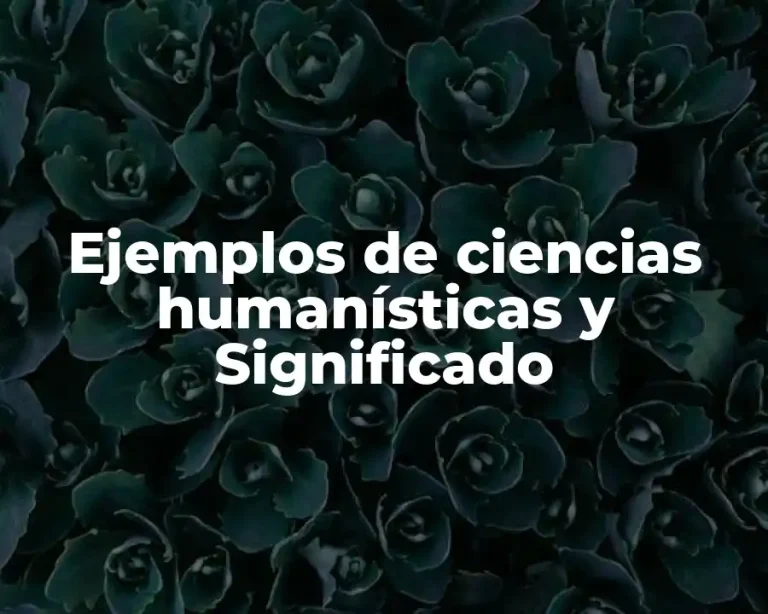 Ejemplos de ciencias humanísticas y Significado