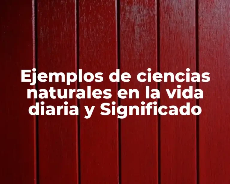 Ejemplos de ciencias naturales en la vida diaria y Significado