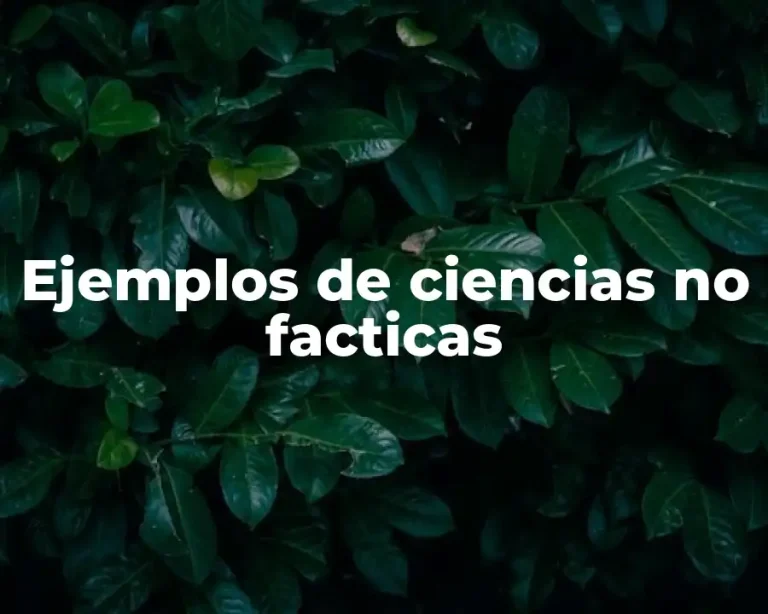Ejemplos de ciencias no facticas