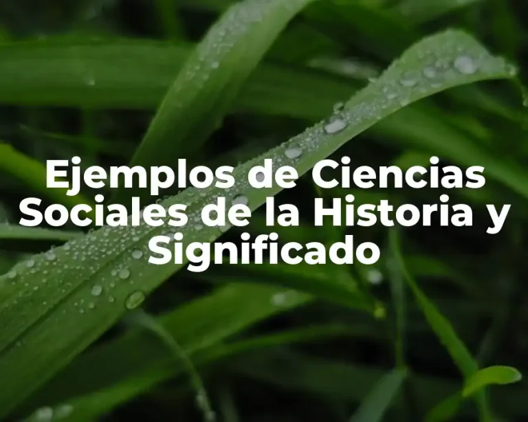 Ejemplos de Ciencias Sociales de la Historia y Significado