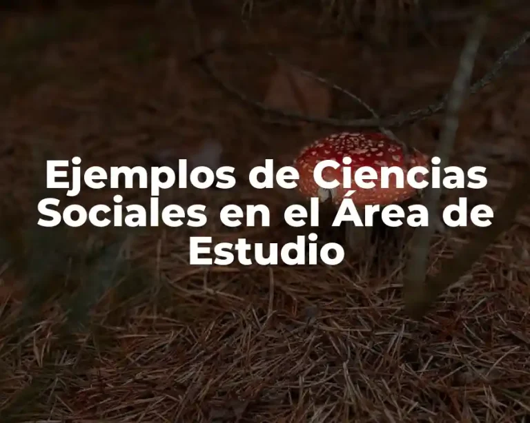 Ejemplos de Ciencias Sociales en el Área de Estudio