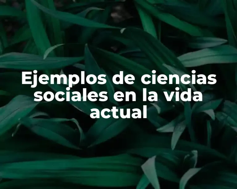 Ejemplos de ciencias sociales en la vida actual