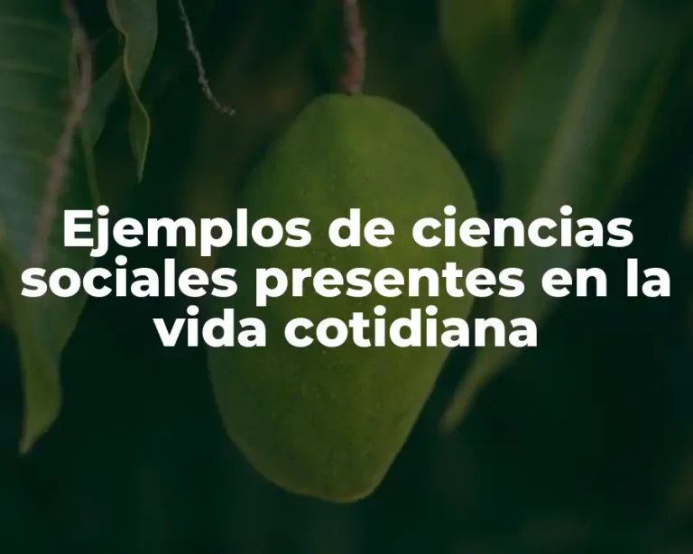 Ejemplos de ciencias sociales presentes en la vida cotidiana