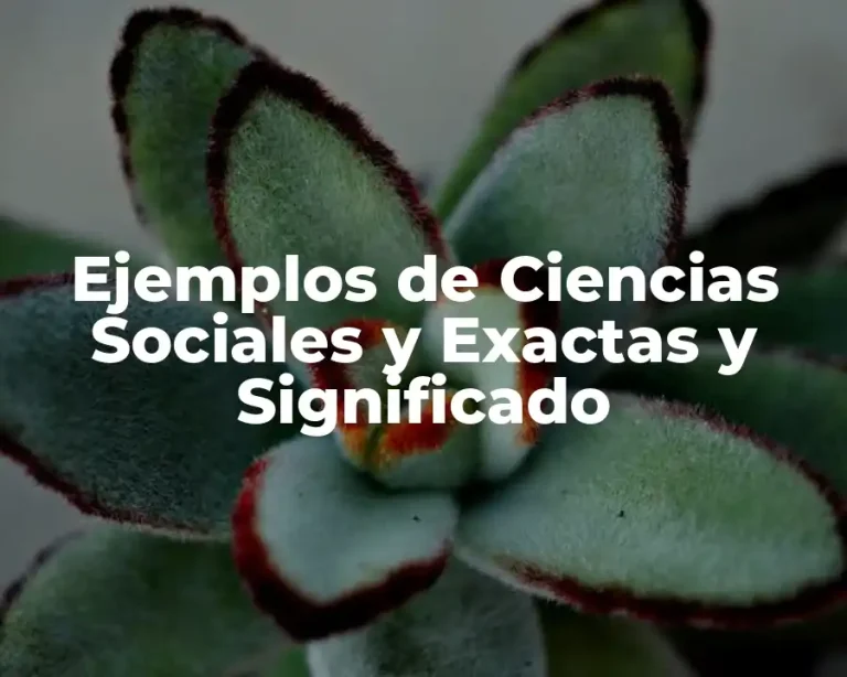 Ejemplos de Ciencias Sociales y Exactas y Significado