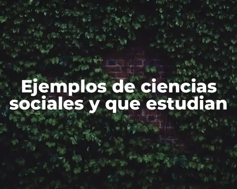 Ejemplos de ciencias sociales y que estudian