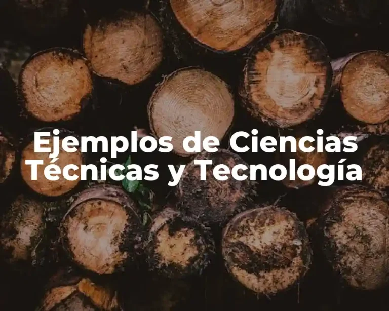 Ejemplos de Ciencias Técnicas y Tecnología