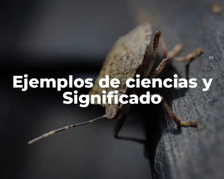 Ejemplos de ciencias y Significado