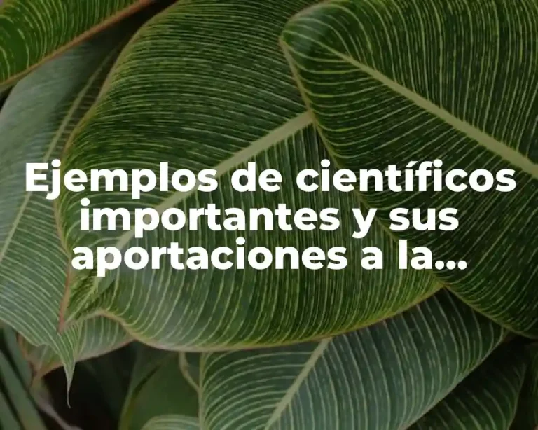 Ejemplos de científicos importantes y sus aportaciones a la ciencia