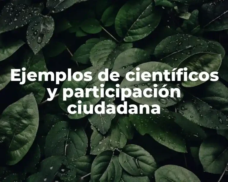 Ejemplos de científicos y participación ciudadana