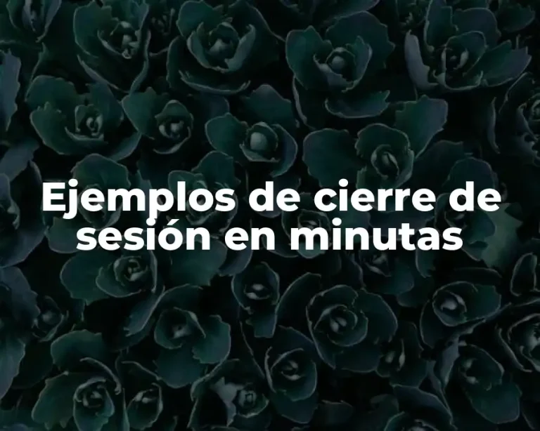 Ejemplos de cierre de sesión en minutas