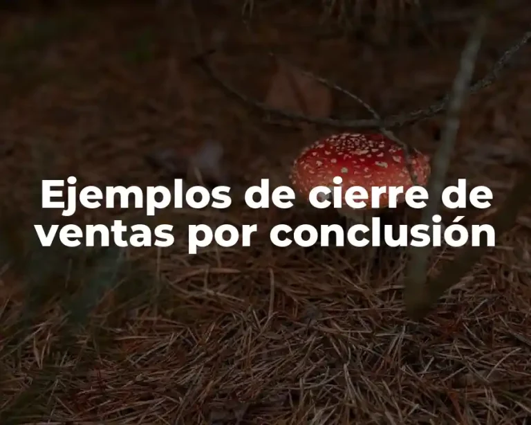Ejemplos de cierre de ventas por conclusión