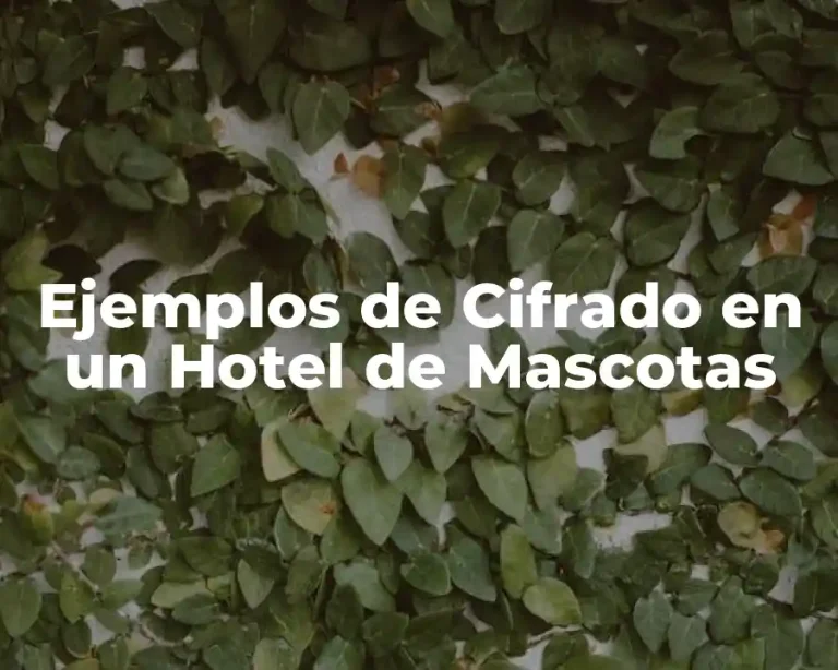 Ejemplos de Cifrado en un Hotel de Mascotas
