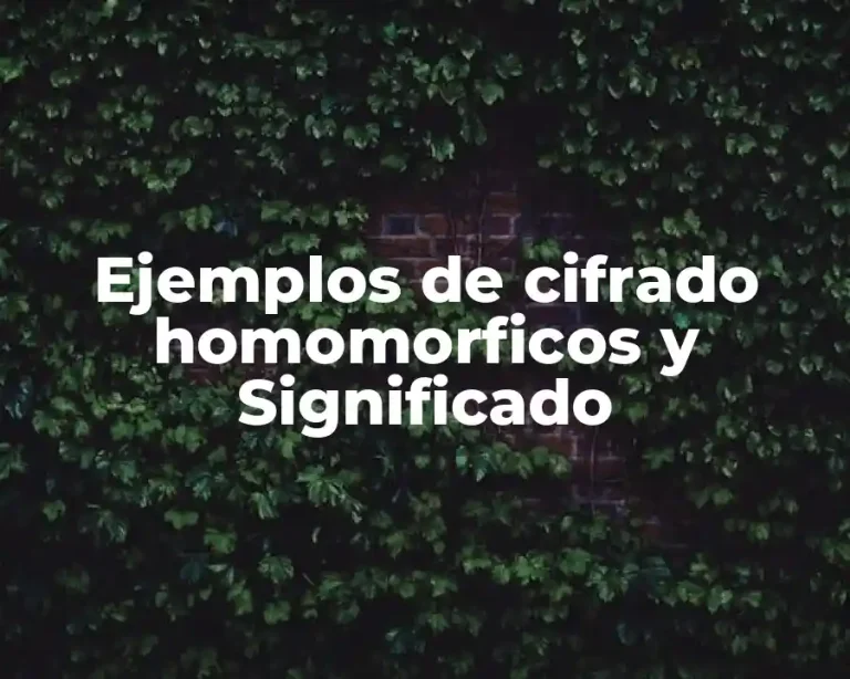 Ejemplos de cifrado homomorficos y Significado
