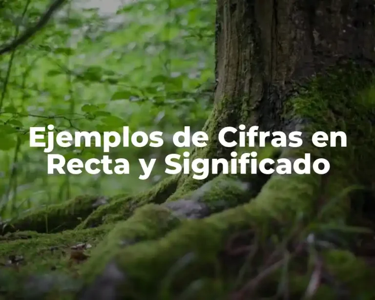 Ejemplos de Cifras en Recta y Significado