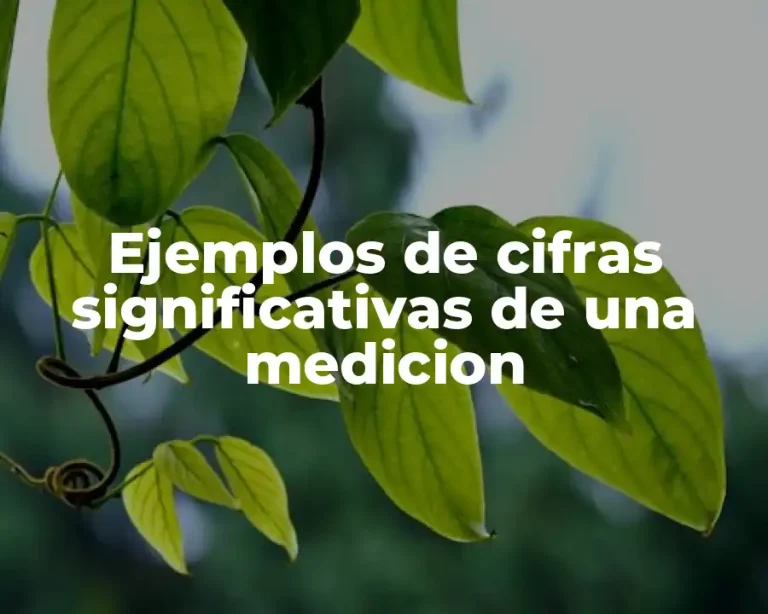 Ejemplos de cifras significativas de una medicion