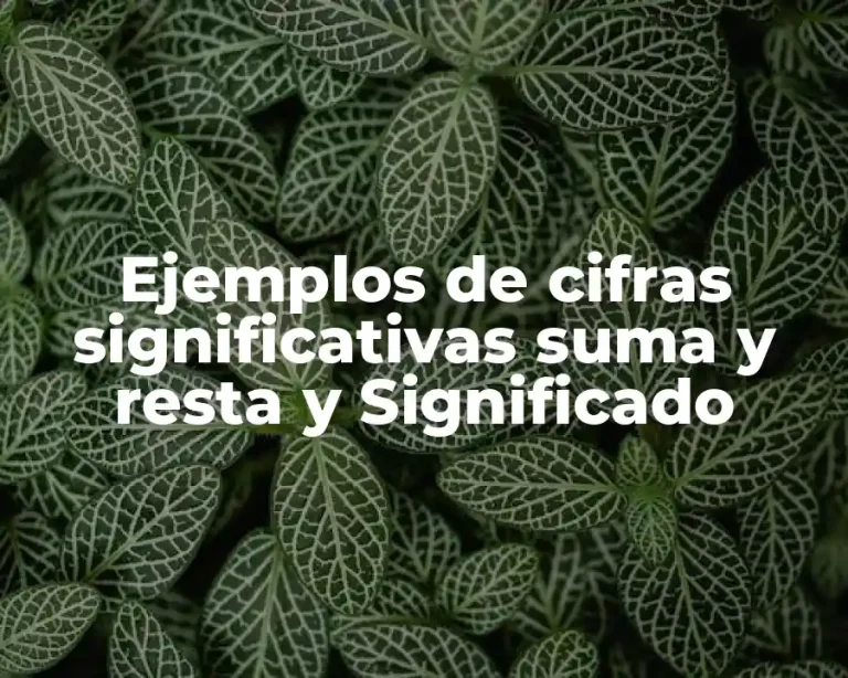 Ejemplos de cifras significativas suma y resta y Significado
