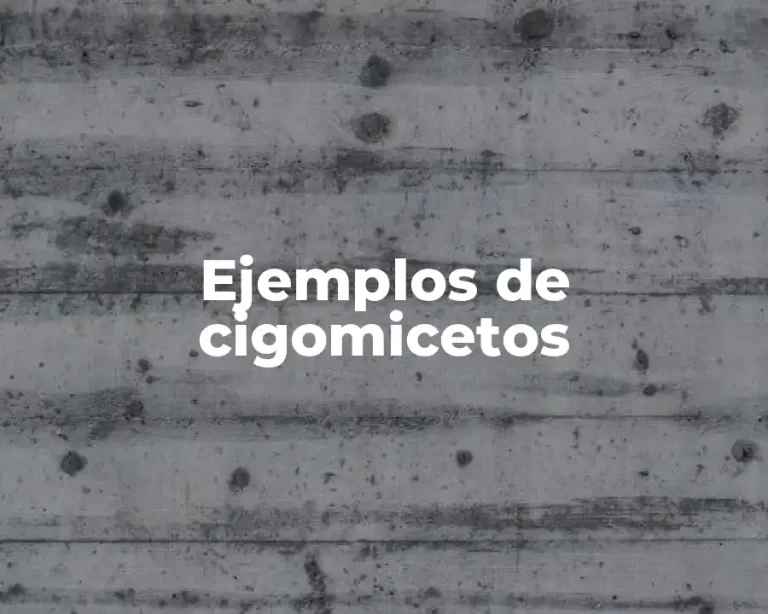 Ejemplos de cigomicetos