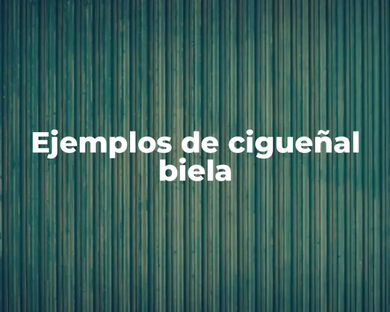 Ejemplos de cigueñal biela