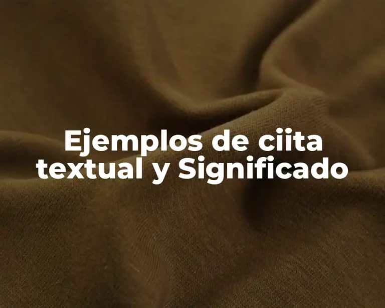 Ejemplos de ciita textual y Significado