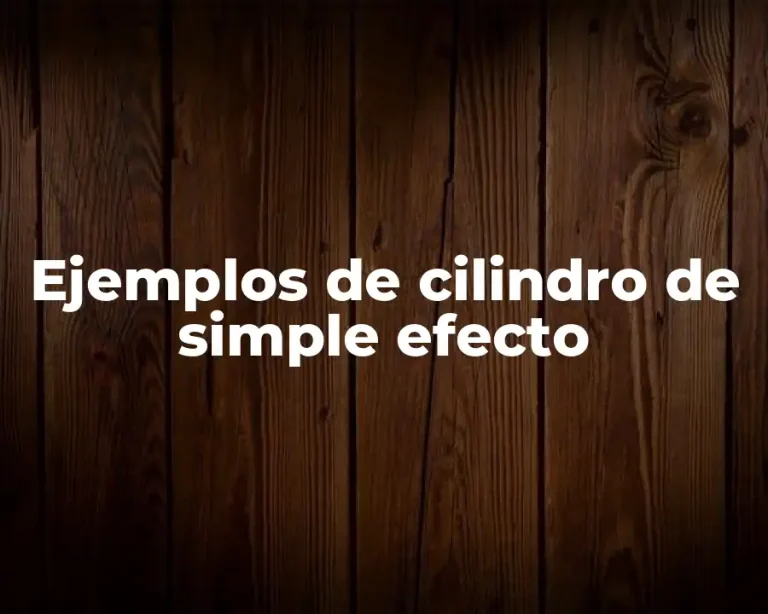 Ejemplos de cilindro de simple efecto