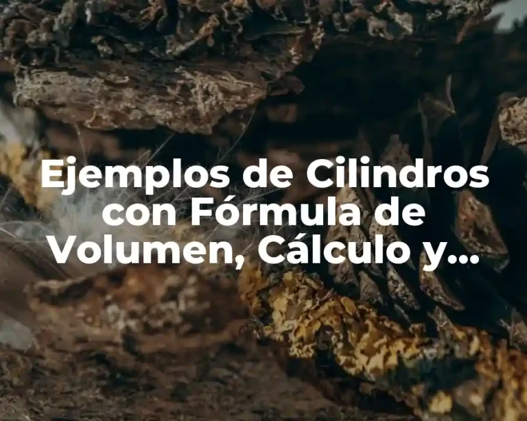 Ejemplos de Cilindros con Fórmula de Volumen, Cálculo y Área