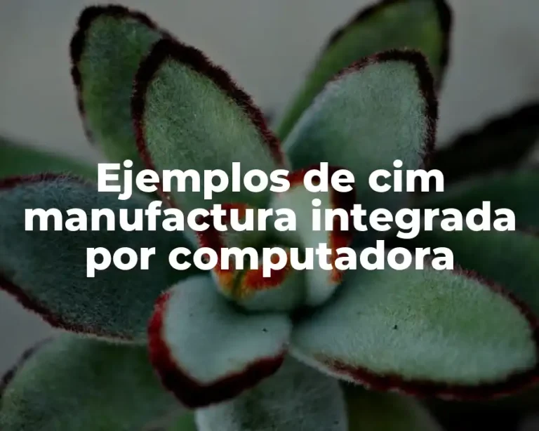 Ejemplos de cim manufactura integrada por computadora