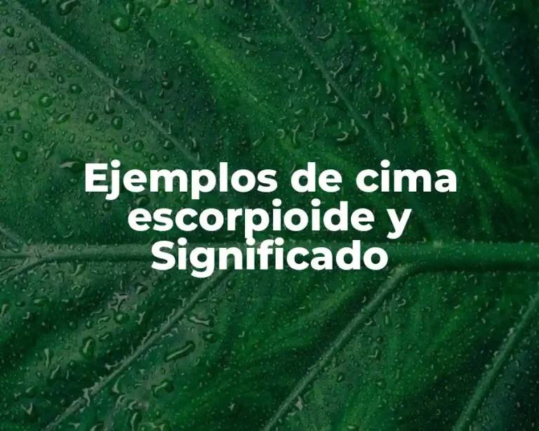 Ejemplos de cima escorpioide y Significado