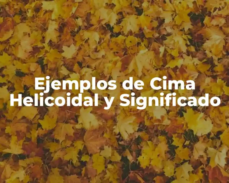 Ejemplos de Cima Helicoidal y Significado