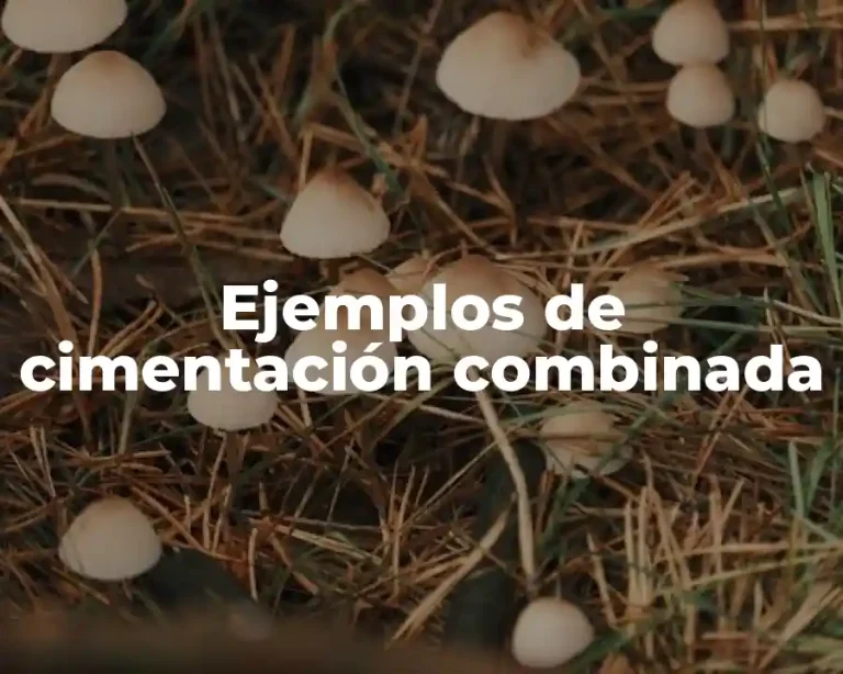 Ejemplos de cimentación combinada