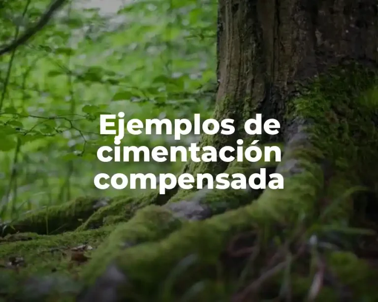 Ejemplos de cimentación compensada