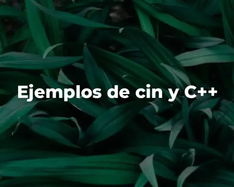 Ejemplos de cin y C++