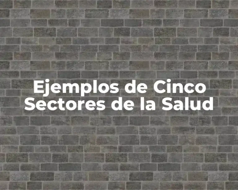 Ejemplos de Cinco Sectores de la Salud