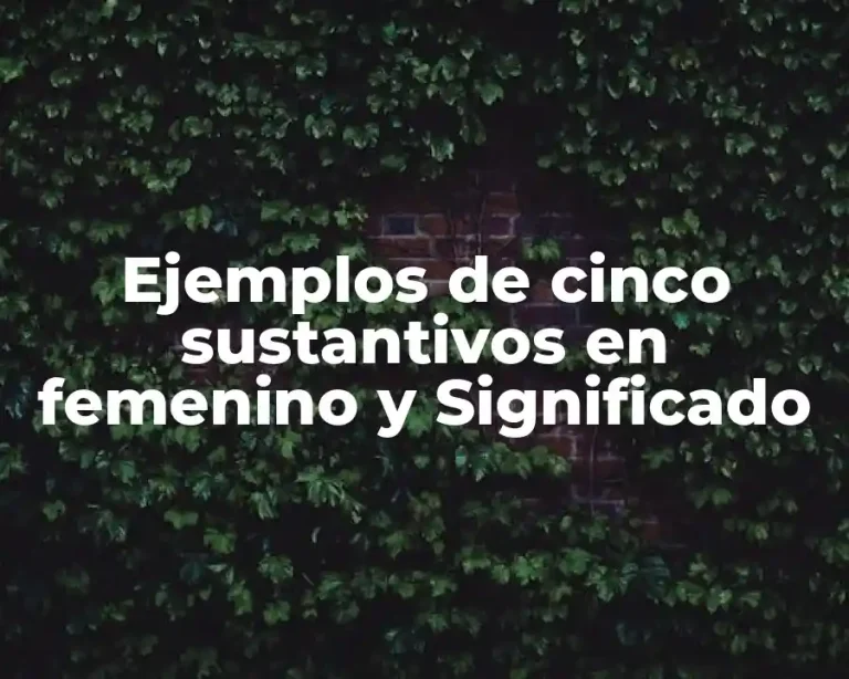 Ejemplos de cinco sustantivos en femenino y Significado