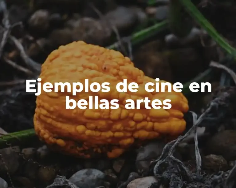 Ejemplos de cine en bellas artes