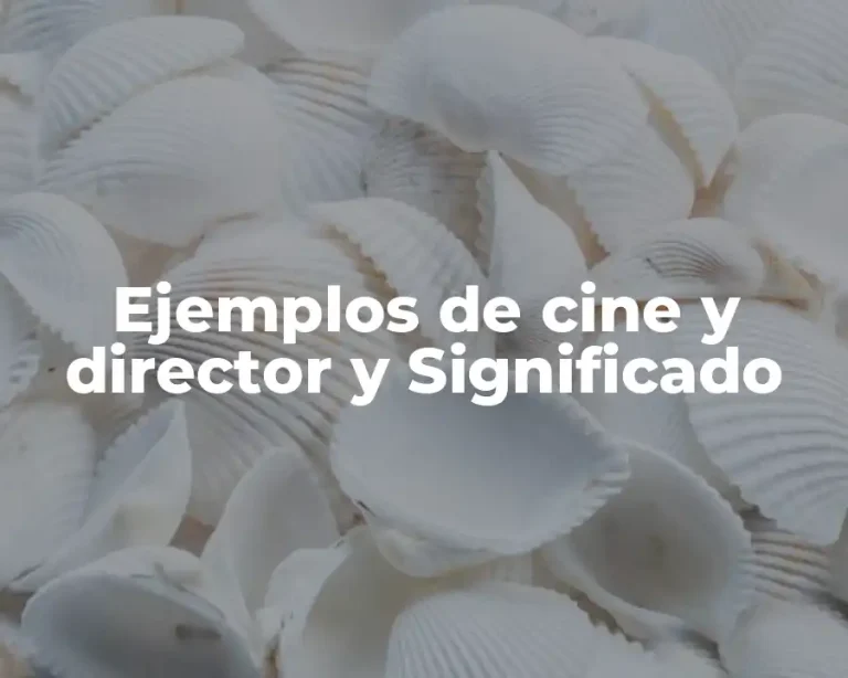 Ejemplos de cine y director y Significado