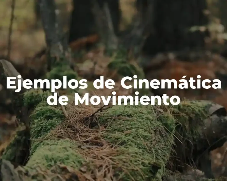 Ejemplos de Cinemática de Movimiento