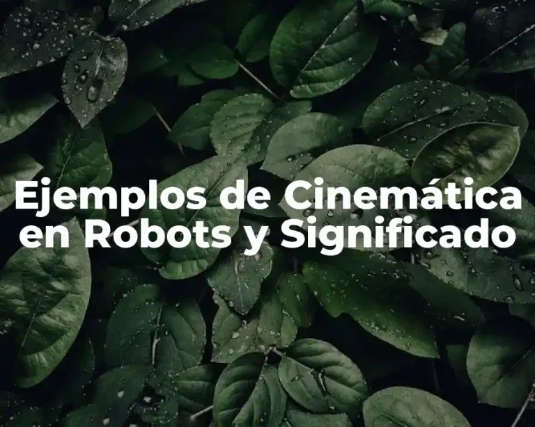 Ejemplos de Cinemática en Robots y Significado