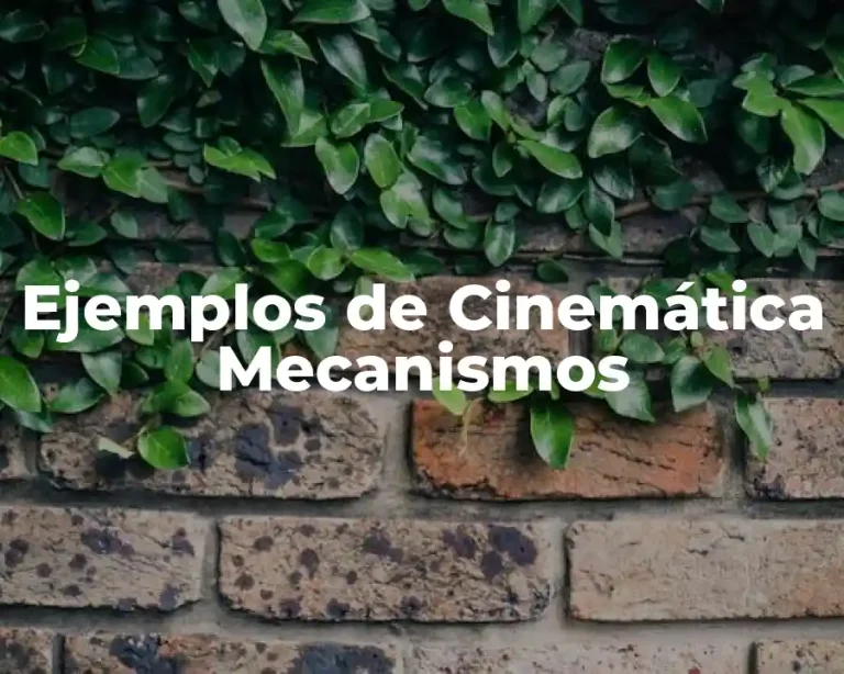Ejemplos de Cinemática Mecanismos
