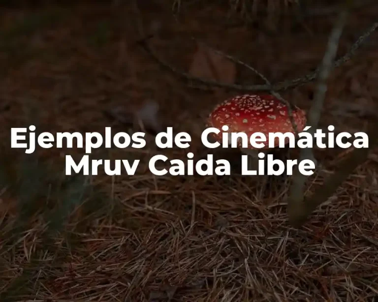 Ejemplos de Cinemática Mruv Caida Libre