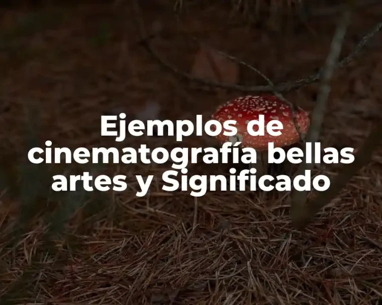 Ejemplos de cinematografía bellas artes y Significado