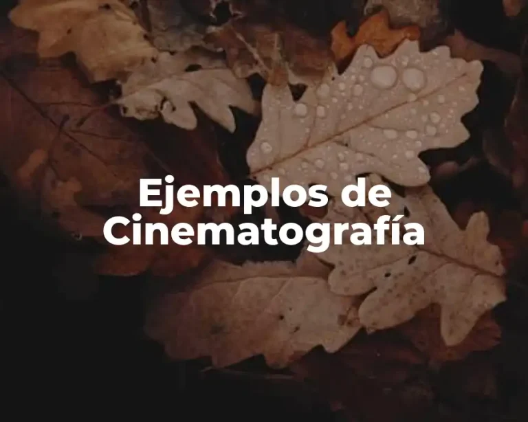 Ejemplos de Cinematografía