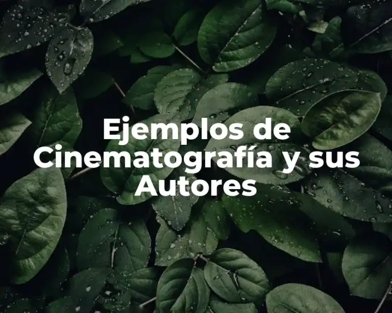 Ejemplos de Cinematografía y sus Autores