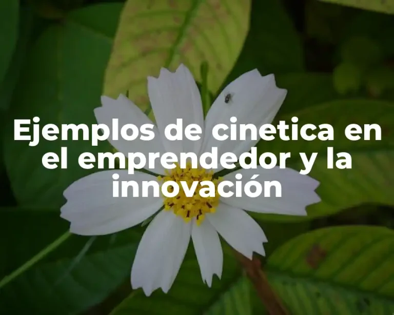 Ejemplos de cinetica en el emprendedor y la innovación