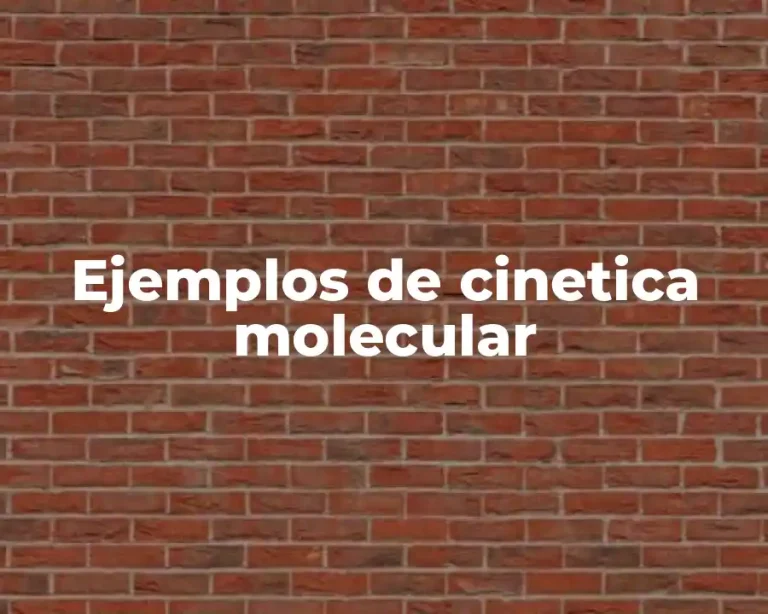 Ejemplos de cinetica molecular